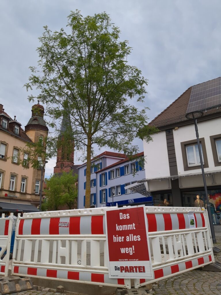 Neuer Marktplatz Baum mit "das kommt hier alles weg Plakat" an der noch stehenden Bauabsperrung