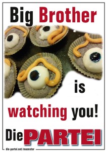 Big Brother is watching you!