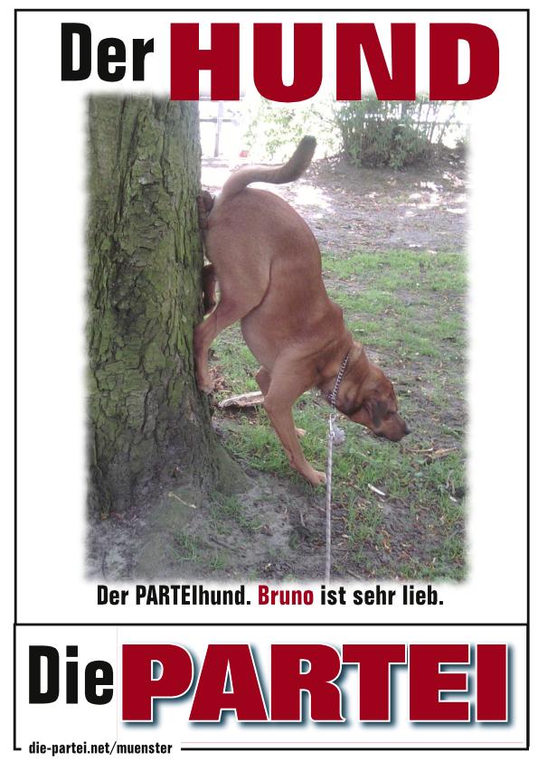 Bruno, der PARTEIhund, beim Kacken gegen die Schwerkraft an einem Baum hinauf