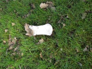 Gemähtes Gras mit verbliebenem Müll, u.a. einer benutzten Damenbinde.