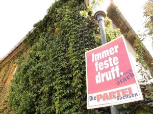 Anleitung für die Pflanzung von Gebäudeflora