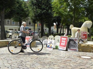 Kritischer Blick einer Wählerin auf unsere Installation