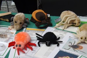 Vor diesen Bestien schützt uns das Verbraucherschutzministerium