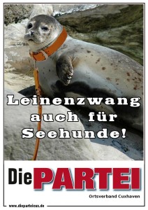 12079533_1091614394183606_8429843202924651959_n