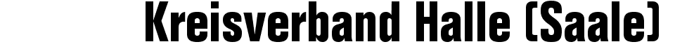 Kreisverband Halle (Saale)