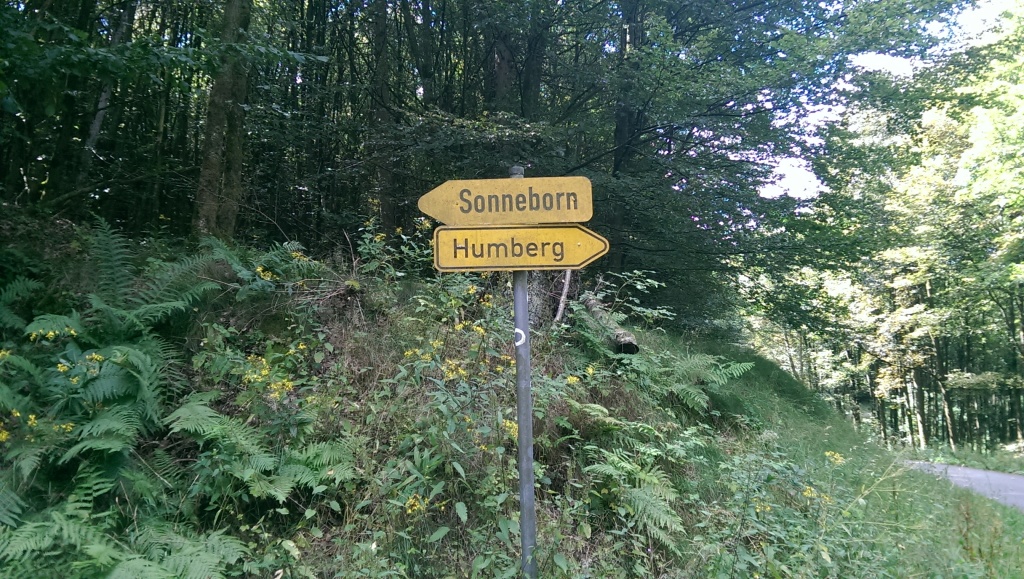 Auf dem Weg zum Sonneborn