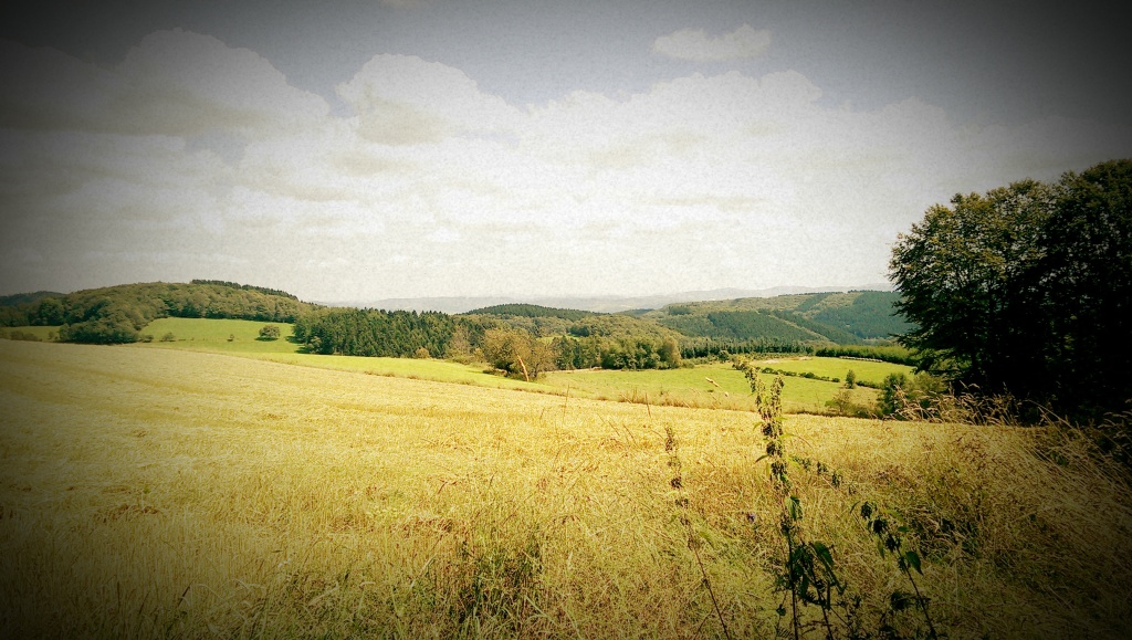 Charme auf der Kuppe